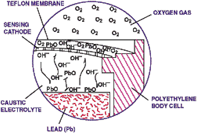 Sensors Insights 2 2017-09-01 Fig2 Figure 2. In normal fuel-cell operation, oxygen, after diffusing through a Teflon membrane, is reduced at the cathode. The anode oxidation provides the energy required for oxygen reduction.